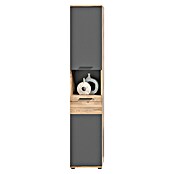 xonox.home Mason Hochschrank Mason (37 x 34 x 190 cm, Nox Oak/Basalt Grau) | BAUHAUS