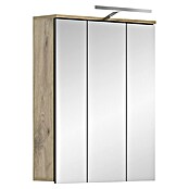 xonox.home Mason LED-Spiegelschrank Mason (B x H: 60 x 77 cm, Mit Beleuchtung) | BAUHAUS