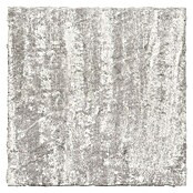 Terrassenplatte Ellenica (48 x 48 x 3,2 cm, Pietra Luna, Beton) | BAUHAUS