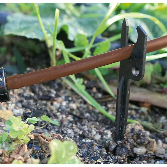 Tubo de instalación microgoteo flexible - 4 mm, 25 m - Primer plano de una manguera de riego marrón sujeta al suelo con una estaca de plástico negra.