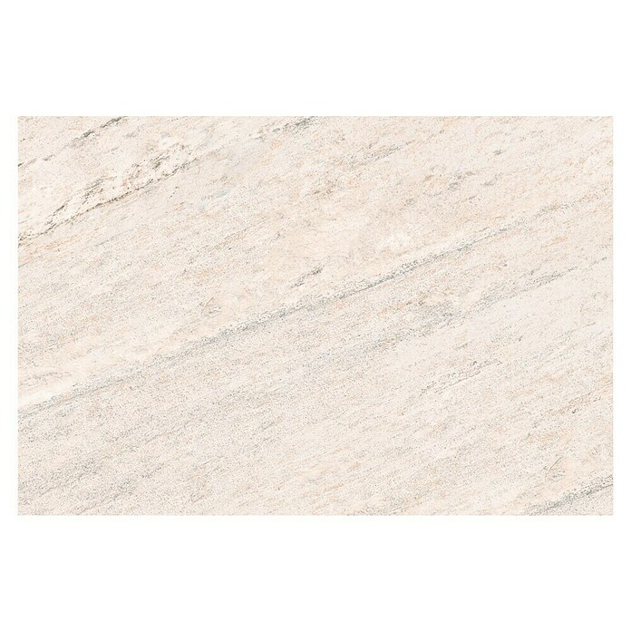 Feinsteinzeugfliese Oyster Marfil (44 x 66 cm, Grau/Beige, Matt) | BAUHAUS