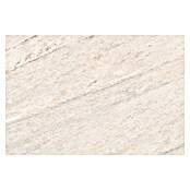 Feinsteinzeugfliese Oyster Marfil (44 x 66 cm, Grau/Beige, Matt) | BAUHAUS