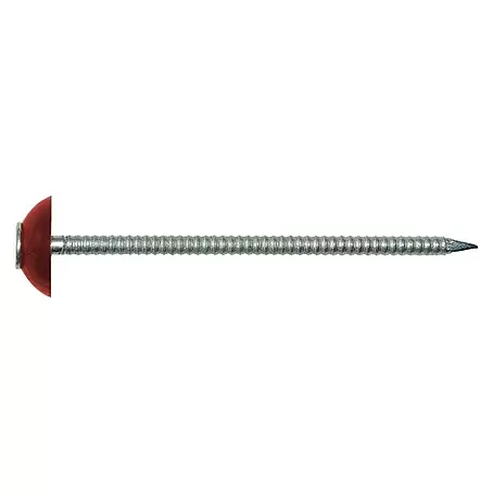 Gutta  Nägel Shelltec