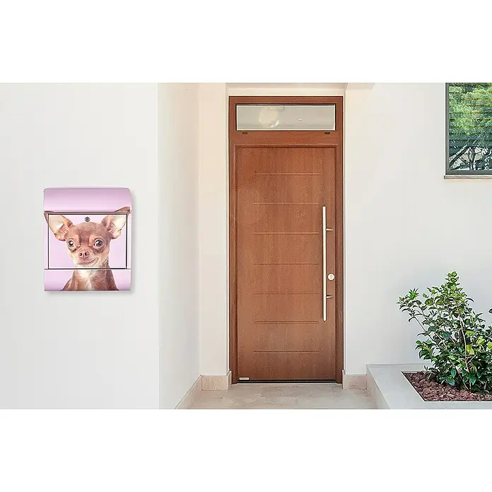 Wandbriefkasten - L x B x H: 12 cm x 380 mm x 45 cm, Stahl, Zeitungsfach, Chihuahua - Dieser auffällige Briefkasten mit einem Chihuahua-Motiv ist eine kreative und lustige Ergänzung für jede Hausfassade.