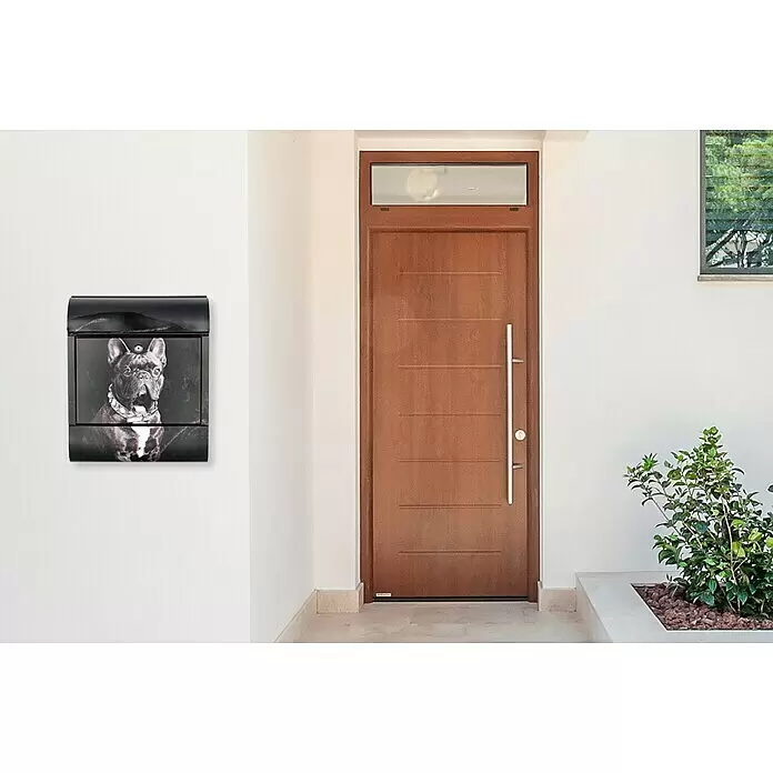 Wandbriefkasten - L x B x H: 12 x 38 x 45 cm, Stahl, Zeitungsfach, Französische Bulldogge - Stimmungsaufnahme