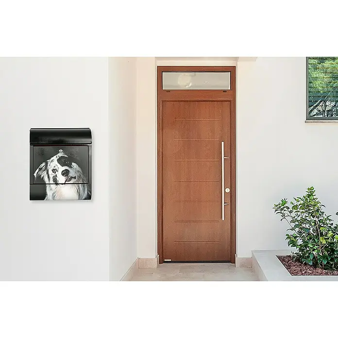 Wandbriefkasten - L x B x H: 12 cm x 380 mm x 45 cm, Stahl, Zeitungsfach, Australian Shepherd - Schwarzer Briefkasten mit Hundeaufdruck an einer weißen Wand, neben einer modernen Holztür mit langem Griff.