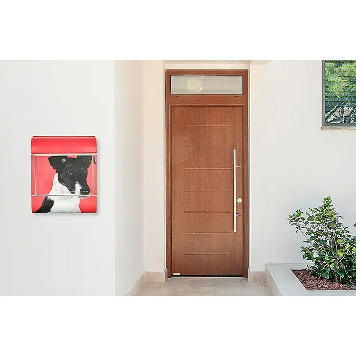 Wandbriefkasten - L x B x H: 12 x 38 x 45 cm, Stahl, Zeitungsfach, Foxterrier - Eine rote Briefkasten-Dekoration mit einem Hundeportrait hängt an einer weißen Wand neben einer modernen Holztür.