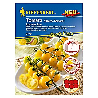 Kiepenkerl Profi-Line Gemüsesamen Tomate (Summer Sun F1, Solanum lycopersicum, Erntezeit: Juli)