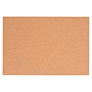 Glorex Korkplatte (L x B x H: 450 x 300 x 3 mm)