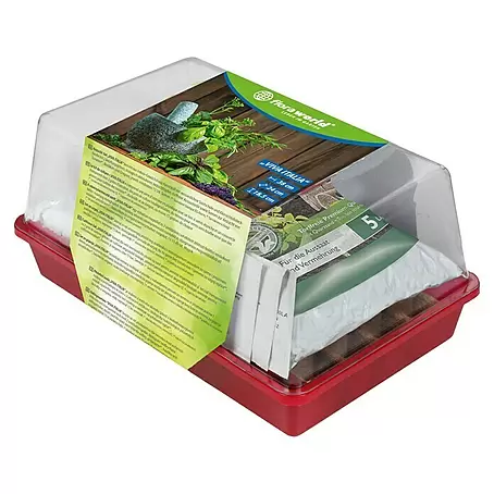 Floraworld  Anzucht-Set Viva Italia