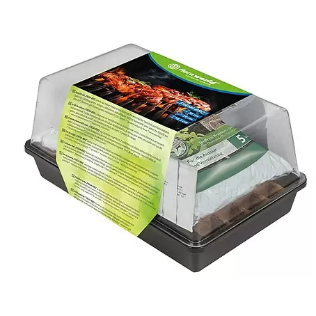 Floraworld  Anzucht-Set Fresh BBQ