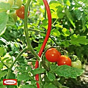 Bellissa Tomatenspirale  Colorata (Länge: 110 cm, Rot) | BAUHAUS