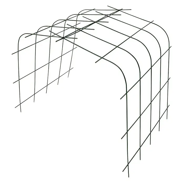 Bellissa Pflanzenstütze Annabelle - 72 x 75 x 80 cm - Draufsicht eines grünen Tunnel-Pflanzstützgitters. Ideal, um Pflanzen zu helfen und sie vor möglichen Gefahren zu schützen.