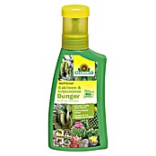 Neudorff BioTrissol Kakteendünger (250 ml) | BAUHAUS