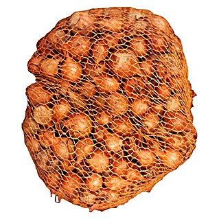 Lučice luka Stuttgarter (Botanički opis: Allium cepa, Berba: Lipanj, 1 kg)