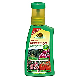 Neudorff Flüssigdünger Balsamol Blattdünger (250 ml)