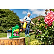 Neudorff Rosenspritzmittel Neudo Vital (250 ml) | BAUHAUS