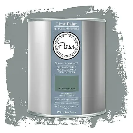 Fleur  Pintura para efectos decorativos Lime Paint