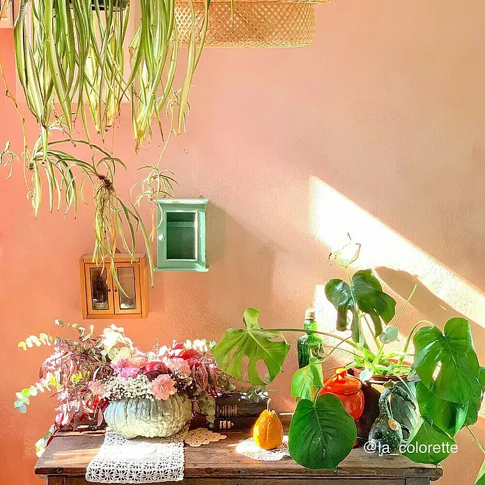 Fleur Pintura para efectos decorativos Lime Paint - Jo, 750 ml, Mate - Una mesa con calabazas, plantas y flores, creando un ambiente acogedor y otoñal. Los colores otoñales armonizan maravillosamente.
