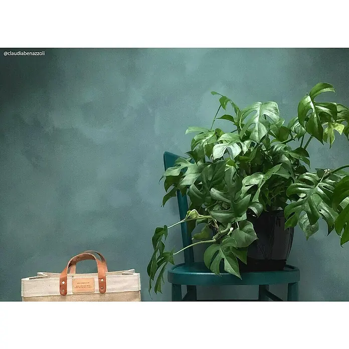 Fleur Pintura para efectos decorativos Lime Paint - Woodland Spirit, 750 ml, Mate - Una planta de interior verde 'Rhaphidophora tetrasperma' se coloca sobre una silla turquesa, al lado una bolsa de tela beige con asas de cuero.