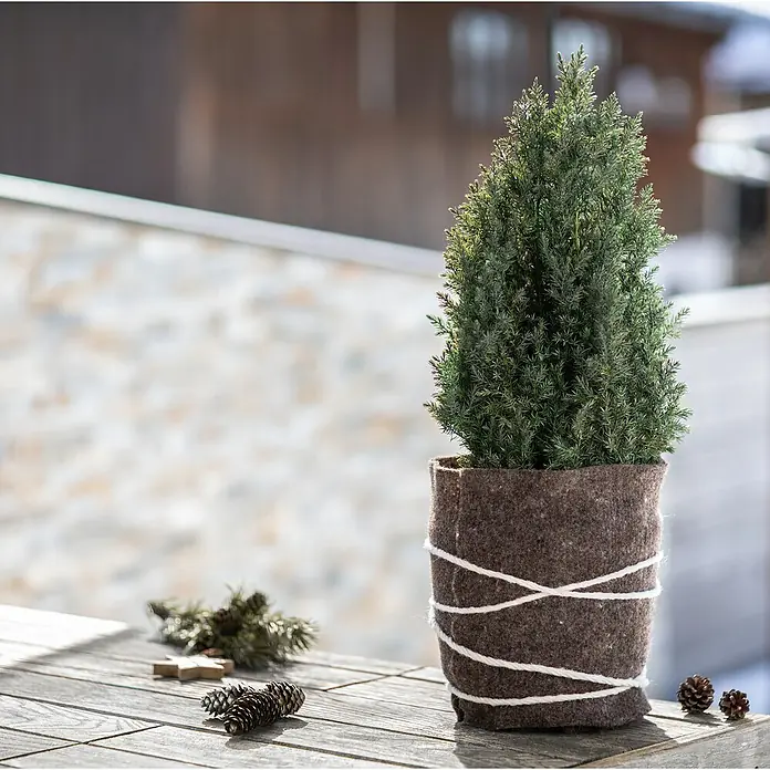 Windhager Kälteschutz Schafwoll-Filzmatte - L x B: 120 x 60 cm, Braun - Ein kleiner dekorativer Nadelbaum im Topf mit Filzüberzug und Kordel, steht auf einem Holztisch mit Tannenzapfen.