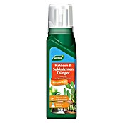 Westland Kakteendünger (200 ml) | BAUHAUS