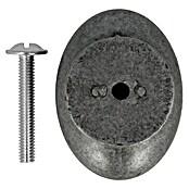 Möbelknopf (Ø x H: 40 x 29 mm, Antiksilber)