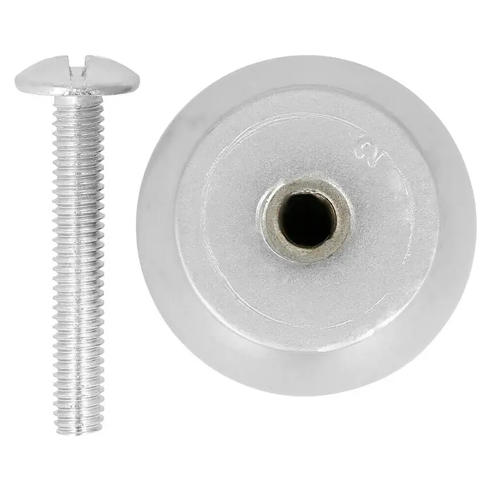 Möbelknopf - Typ Möbelgriff: Knopf, Sonstige, Verchromt, Durchmesser: 24 mm - Nahaufnahme eines silbernen Schrauben- und Dübel-Sets, ideal für Befestigungen und Heimwerkerprojekte.