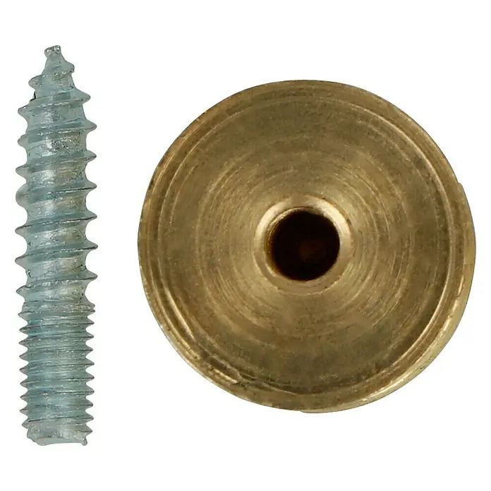 Häfele Pomo para muebles - Tipo de tirador del mueble: Botón, Ø x L: 14 x 13 mm - Primer plano de un tornillo y una arandela. Perfecto para proyectos de bricolaje y reparaciones.