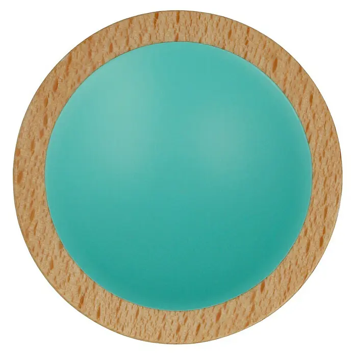 Häfele Pomo para muebles - Tipo de tirador del mueble: Botón, Ø x Al: 50 x 19,5 mm, Madera, Lacado, Turquesa, Haya - Primer plano de un mordedor redondo de silicona turquesa con un marco de madera de haya clara, ideal para calmar a bebés y niños pequeños.