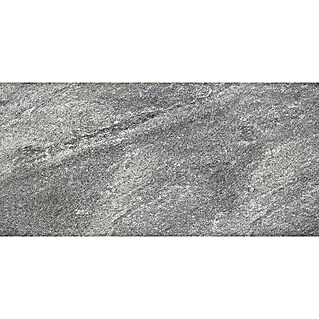 Feinsteinzeugfliese Quarzo (L x B x S: 78 x 39 x 2 cm, Tortora, Matt)