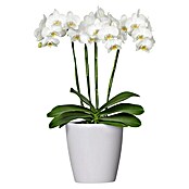 Orchideentopf 14 cm Weiß