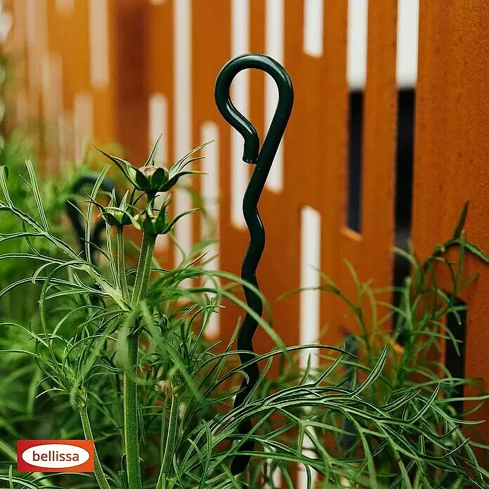 Bellissa Pflanzenstütze Mainau - 70 cm, Grün - Stimmungsaufnahme