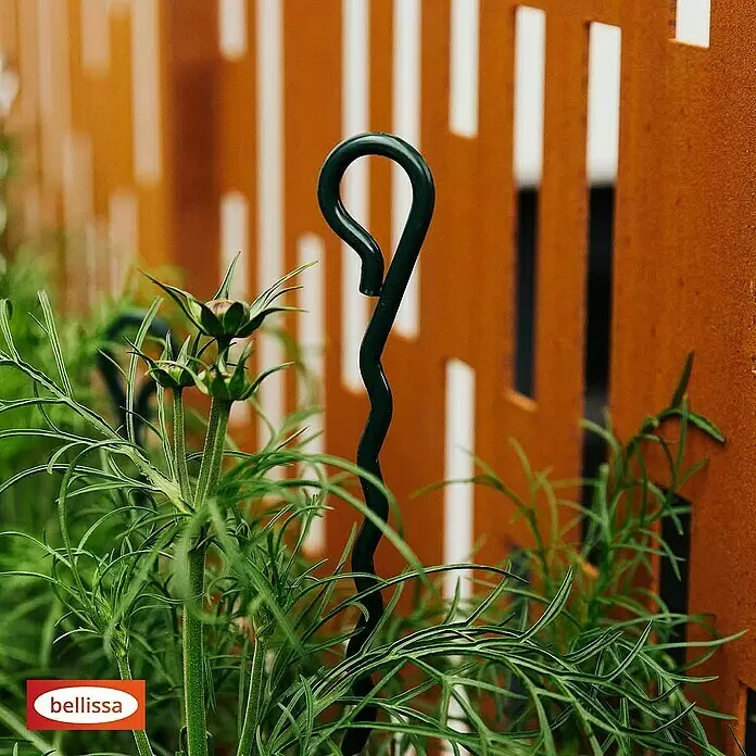 Bellissa Pflanzenstütze Mainau - 100 cm, Grün - Grüner spiralförmiger Pflanzenstützstab aus Metall zwischen üppigen Grünpflanzen, der diskrete Unterstützung im Garten bietet.