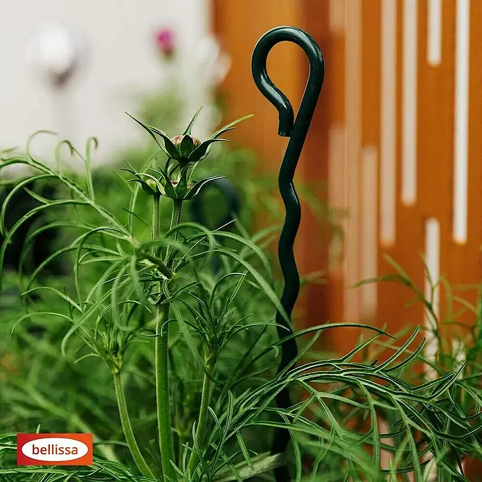 Bellissa Pflanzensttze Mainau - 100 cm, Grn online kaufen bei BAUHAUS
