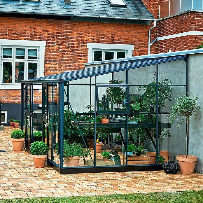 Juliana Gewächshaus Veranda - Außenmaß inkl. Dachüberstand (B x T): 293 x 439 cm, Material Seitenwand: Glas, 3 mm, Anthrazit - Gewächshaus mit Pflanzen in Töpfen, stehend auf einem Ziegelpflaster vor einem Backsteingebäude mit Fenstern.