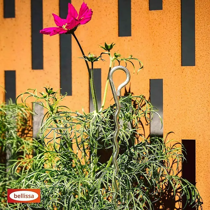 Bellissa Pflanzenstütze Mainau - 100 cm, Silber - Nahaufnahme einer gewundenen Bellissa-Pflanzenstütze aus Metall, die eine zarte rosafarbene Blume in einem Garten stützt.