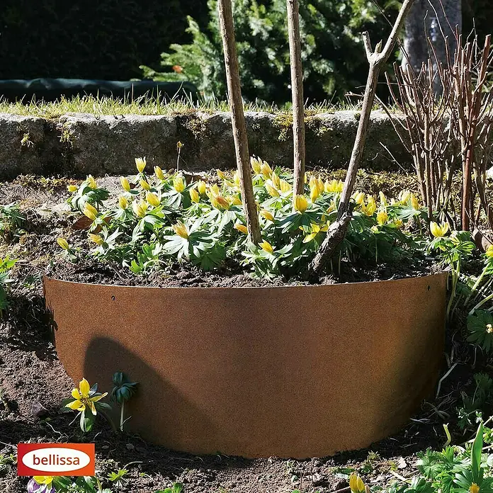 Bellissa Pflanzschale Hangabsicherung Collina - L x B x H: 96,5 x 1 x 34 cm, Corten - Nahaufnahme einer Beetumrandung von Bellissa, gefüllt mit blühenden, gelben Winterlingen, die einen Blickfang im Garten bietet.