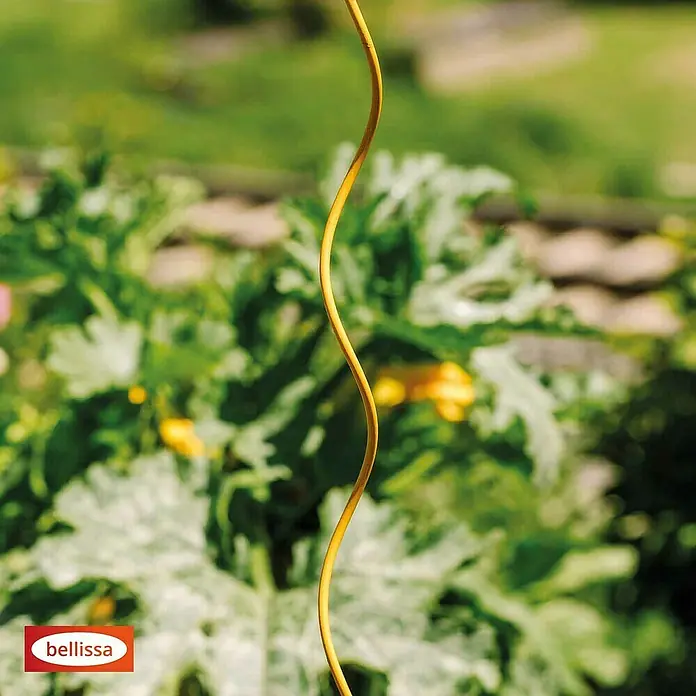 Bellissa Tomatenspirale Colorata - Länge: 110 cm, Honig - Nahaufnahme eines gewundenen, gelben Drahtes vor einem unscharfen Hintergrund von Grünpflanzen.