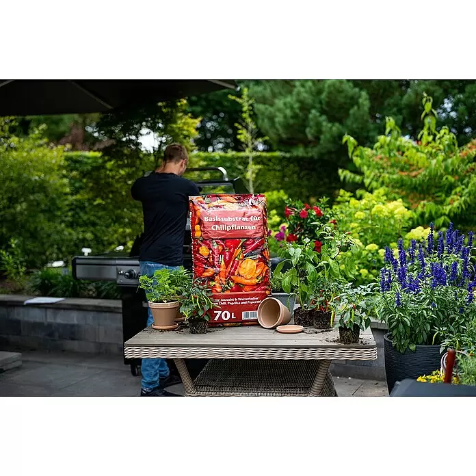 Floragard Kultursubstrat Chili - 70 l - Große rote Tüte Basissubstrat für Chilipflanzen mit Chili-Abbildungen, umgeben von kleinen Chilipflanzen und leeren Töpfen auf einem Gartentisch.