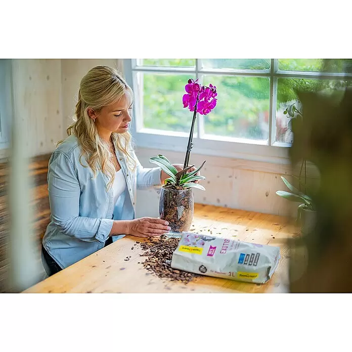 Floragard Orchideenerde exotisch - 3 l, Torffrei - Anwendungsbeispiel