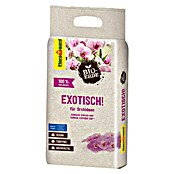 Floragard Orchideenerde exotisch (3 l, Torffrei) | BAUHAUS