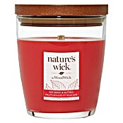 Woodwick Nature's Wick Duftkerze (Im Glas, Red Berry & Nutmeg, Anzahl Dochte: 1 Stk.) | BAUHAUS