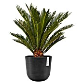 Ecopots Oslo Pflanztopf (Außenmaß (Ø x H): 25 x 21,8 cm, Kunststoff, Dunkelgrau) | BAUHAUS