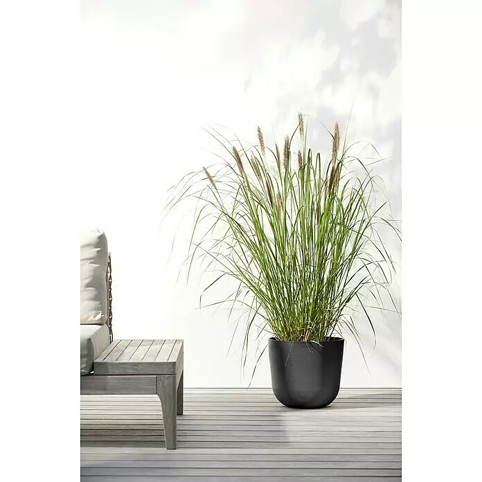Ecopots Oslo Pflanztopf - Außenmaß (Ø x H): 25 x 21,8 cm, Kunststoff, Dunkelgrau - Stimmungsaufnahme