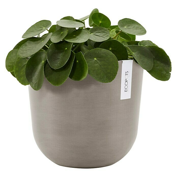 Ecopots Oslo Pflanztopf (Außenmaß (Ø x H): 25 x 21,8 cm, Kunststoff, Braungrau) | BAUHAUS