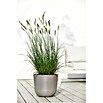 Ecopots Oslo Pflanztopf mit Wasserspeicher (Außenmaß (Ø x H): 35 x 40,5 cm, Kunststoff, Braungrau) | BAUHAUS