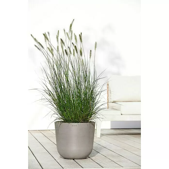 Ecopots Oslo Pflanztopf - Außenmaß (Ø x H): 35 x 30,5 cm, Kunststoff, Braungrau - Runder grauer Pflanzkübel mit hohem Gras auf einer Holzterrasse.