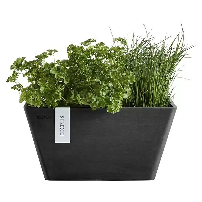 Ecopots Berlin Pflanzschale eckig - Außenmaß (L x B x H): 25,5 x 25,5 x 13 cm, Kunststoff, Dunkelgrau - Dunkelgrauer, strukturierter ECOPOTS-Pflanztopf, gefüllt mit frischer Petersilie und Schnittlauch.