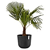 Ecopots Oslo Pflanztopf (Außenmaß (Ø x H): 35 x 30,5 cm, Kunststoff, Dunkelgrau) | BAUHAUS